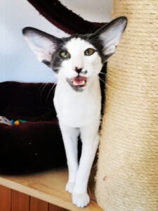 IMG 20241005 114404 edit 629346284984175 - Vanina