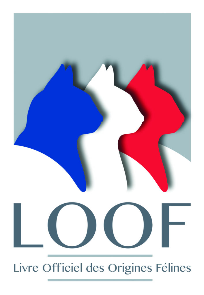 Standard de l'Oriental Shorthair : comparatif LOOF, TICA et FIFe 2 LOGO LOOF - Standard de l'Oriental Shorthair : comparatif LOOF, TICA et FIFe