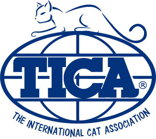 Standard de l'Oriental Shorthair : comparatif LOOF, TICA et FIFe 4 tica cat logo - Standard de l'Oriental Shorthair : comparatif LOOF, TICA et FIFe
